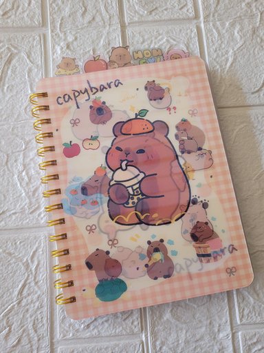 CUADERNO CAPIBARA ANILLADO PASTA HOLOGRAFICA - 3