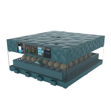 INCUBADORA AUTOMÁTICA VERDE PARA 64 HUEVOS DUAL 220V-12V
