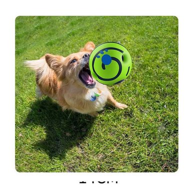 JUGUETE PERRO PELOTA CON SONIDO 14CM - 6