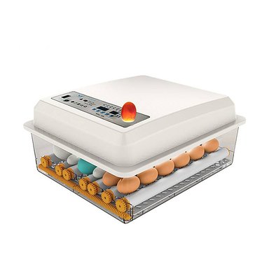 INCUBADORA AUTOMÁTICA BLANCA DE 36 HUEVOS 220V