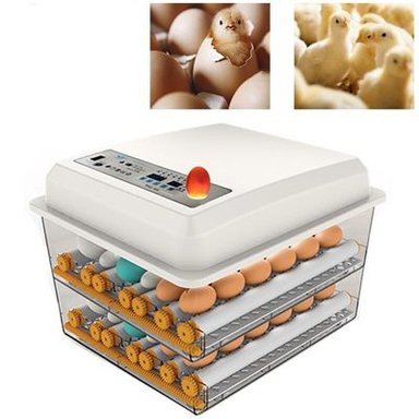 INCUBADORA AUTOMÁTICA PARA120 HUEVOS DUAL 220V-12V