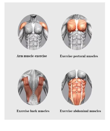 RUEDA DE ENTRENAMIENTO PARA EJERCICIO ABDOMINAL AB CARVER PRO - 7