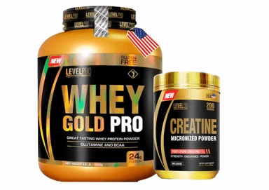 WHEY GOLD PRO 6.6L CHOCOLATE + CREATINE 500GR LEVEL PRO