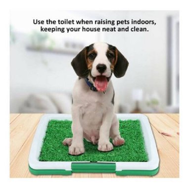 PUPPY POTTY BAÑO ECOLOGICO PORTÁTIL CON CESPED PARA PERROS