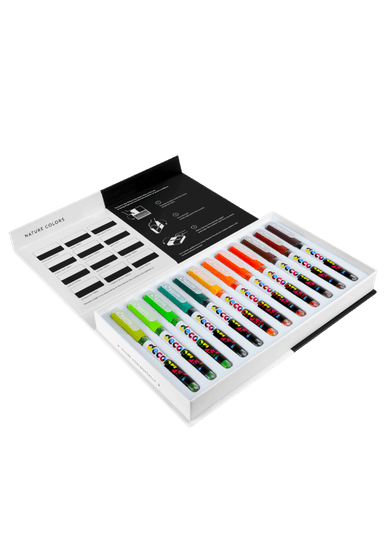 MARCADORES KARIN MARKERS PIGMENT DECOBRUSH NATURE COLORS COLLECTION 12 COLORES - 2