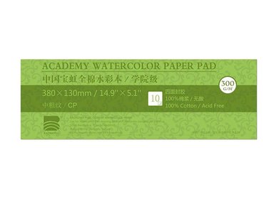 BLOCK BAOHONG PAPEL DE ACUARELA ALGODÓN ACADÉMICO GRANO FINO 38 CM X 13 CM