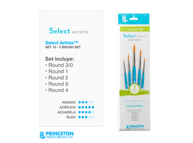 SET DE PINCELES PRINCETON 10 SELECT X 5 PIEZAS