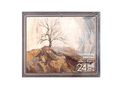 ACUARELAS SUPERVISION (ART MUSEUM OF CHINA ACADEMY OF ART) EN TUBO 8ML - SET X24