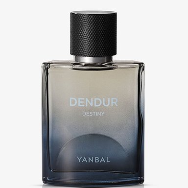 PERFUME UNIQUE DENDUR DESTINY HOMBRE 75ML