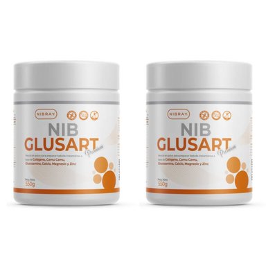 COLAGENO HIDROLIZADO NIBRAY CON GLUCOSAMINA NIBGLUSART PREMIUM PACK 2 POTES