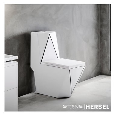 COMBO INODORO HERSEL BLANCO CON NEGRO + BOWL AMALIA CLASSIC + DESAGUE POP UP GRANDE P/BOWL CROMADO STONE - 3
