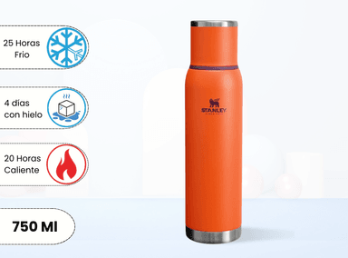 TERMO DE BEBIDA ADVENTURE TO GO CIRUELA TIGERLILY 750 ML