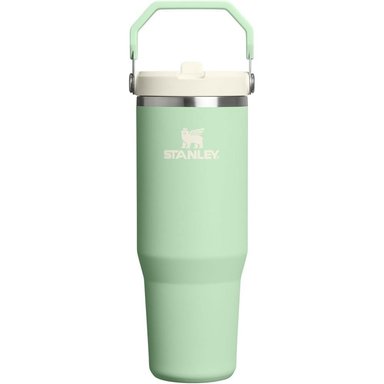 STANLEY ICEFLOW 2.0 FLIP STRAW TUMBLER WITH HANDLE 30 OZ | PISTACHIO