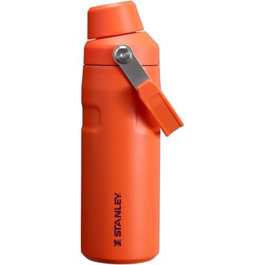 STANLEY ICEFLOW FAST FLOW 16 OZ | PLUM TIGERLILY