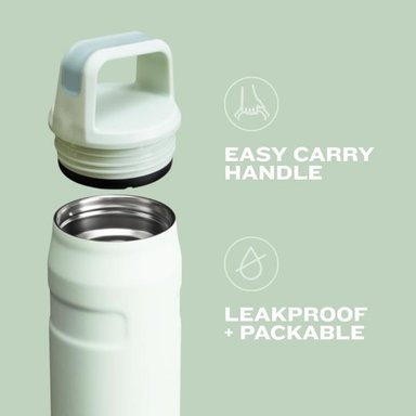 STANLEY – BOTELLA DE AGUA ICEFLOW™ CAP Y CARRY - 16OZ | LEMON - 6