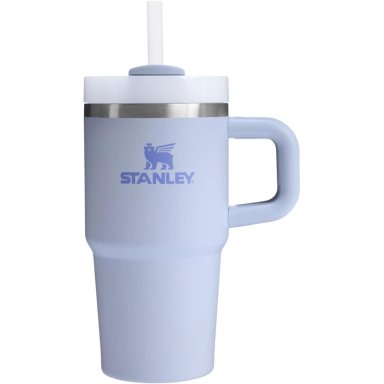 STANLEY QUENCHER H2.0 TUMBLER CON ASA Y PAJILLA 20 OZ | DEWDROP