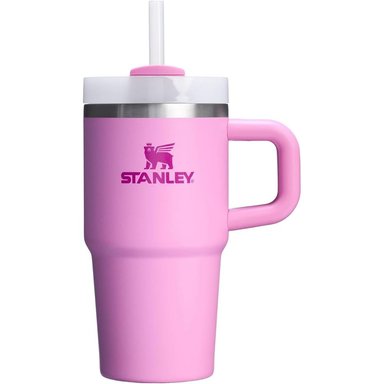 STANLEY QUENCHER H2.0 TUMBLER CON ASA Y PAJILLA 20 OZ | PEONY