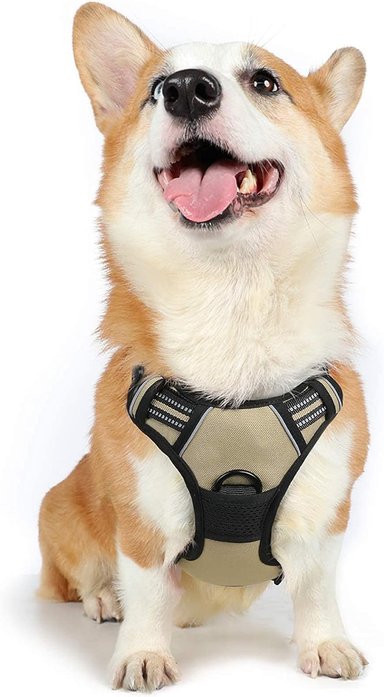RABBITGOO ARNÉS PARA PERROS,SIN TIRONES CON 2 CLIPS DE CORREA,ACOLCHADO SUAVE AJUSTABLE,CON MANIJA PARA PERROS MEDIANOS, BEIGE, M