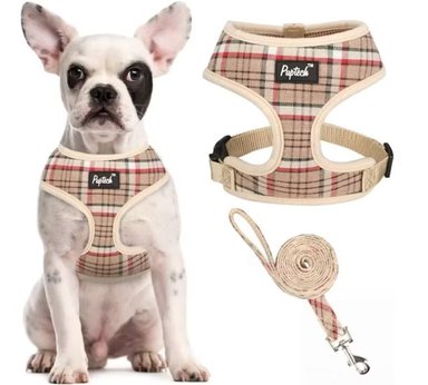 PUPTECK JUEGO DE ARNÉS Y CORREA DE MALLA SUAVE PARA MASCOTA CHALECO ACOLCHADO CÓMODO ARNESES SIN TIRONES, CAQUI, M