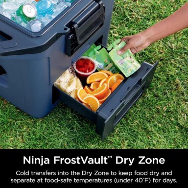 NINJA ENFRIADOR DURO FB131BL FROSTVAULT, CON CAJÓN SECO, ALTA RESISTENCIA, 30 QT / 28,4 L | LAKESHORE BLUE - 3