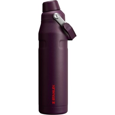 TOMATODO ICEFLOW STANLEY 36 OZ / 1065 ML | CIRUELA