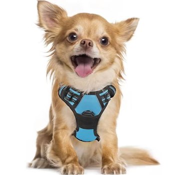 RABBITGOO ARNÉS PARA PERROS,SIN TIRONES CON 2 CLIPS DE CORREA,ACOLCHADO SUAVE AJUSTABLE,CON MANIJA PARA PERROS PEQUEÑOS, AZUL, S