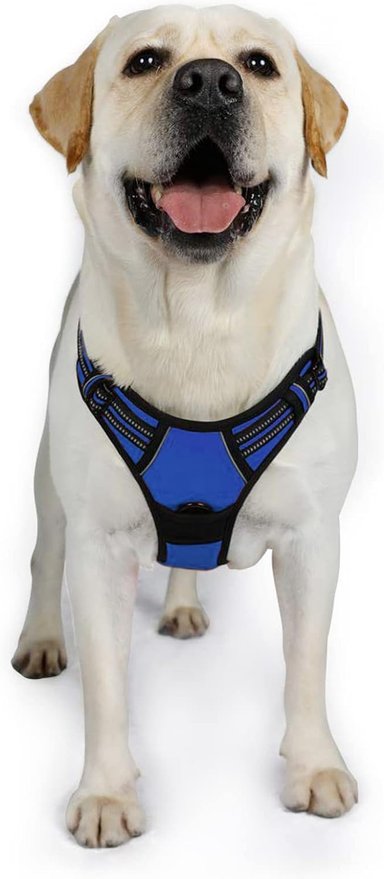 RABBITGOO ARNÉS PARA PERROS,SIN TIRONES CON 2 CLIPS DE CORREA,ACOLCHADO SUAVE AJUSTABLE,CON MANIJA, AZUL MARINO, XL