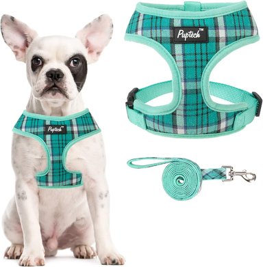PUPTECK JUEGO DE ARNÉS Y CORREA DE MALLA SUAVE PARA MASCOTA CHALECO ACOLCHADO CÓMODO ARNESES SIN TIRONES, VERDE, L