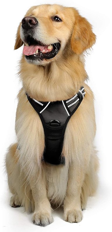RABBITGOO ARNÉS PARA PERROS,SIN TIRONES CON 2 CLIPS DE CORREA,ACOLCHADO SUAVE AJUSTABLE,CON MANIJA PARA PERROS GRANDES, NEGRO, XL