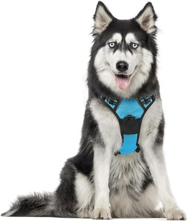 RABBITGOO ARNÉS PARA PERROS,SIN TIRONES CON 2 CLIPS DE CORREA,ACOLCHADO SUAVE AJUSTABLE,CON MANIJA PARA PERROS GRANDES, AZUL, XL