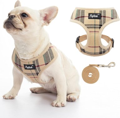 PUPTECK JUEGO DE ARNÉS Y CORREA DE MALLA SUAVE PARA MASCOTA CHALECO ACOLCHADO CÓMODO ARNESES SIN TIRONES, BEIGE, M