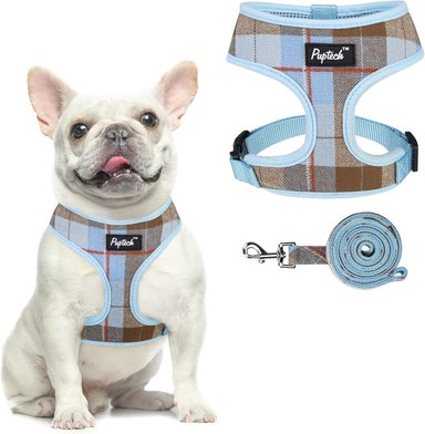 PUPTECK JUEGO DE ARNÉS Y CORREA DE MALLA SUAVE PARA MASCOTA CHALECO ACOLCHADO CÓMODO ARNESES SIN TIRONES, AZUL Y MARRÓN, XS