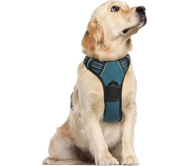 RABBITGOO ARNÉS PARA PERROS,SIN TIRONES CON 2 CLIPS DE CORREA,ACOLCHADO SUAVE AJUSTABLE,CON MANIJA PARA GRANDES, CORAL AZUL, L