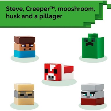 LEGO MINECRAFT MINI BIOMES 21589 - 5