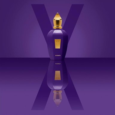 PERFUME XERJOFF ACCENTO EDP UNISEX 1.7 OZ / 50 ML - 4