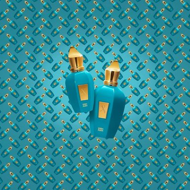 PERFUME XERJOFF ERBA PURA EDP UNISEX 3.4 OZ / 100 ML - 6