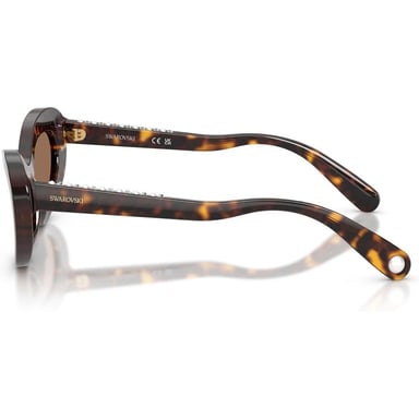 SWAROVSKI LENTES DE SOL SK6061U 51 MM MUJER | HAVANA/DARK BROWN - 3