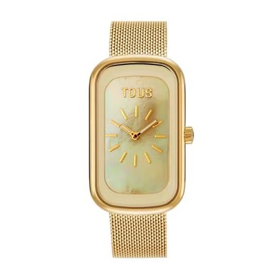 RELOJ ACERO IP DORADO ESFERA NACAR MESH