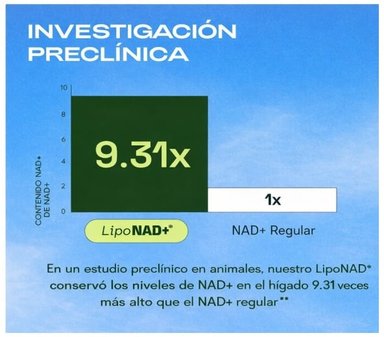 NAD RESVERATROL 500 MG 60 CAPSULAS CATAKOR – REUS RESEARCH - 2