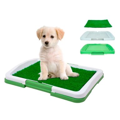 BAÑO PERRO ECOLÓGICO CON CÉSPED MASCOTAS