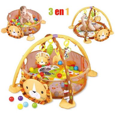 GIMNASIO DE ACTIVIDAD CIRCULAR CON PELOTAS LEÓN