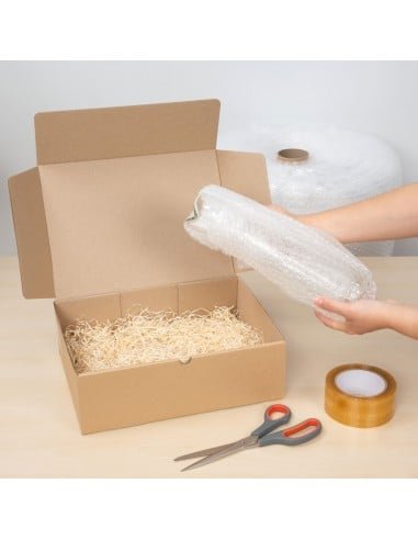 PROTECTOR PLASTICO BURBUJAS BURBUPACK ROLLO 50CM X 3MTS - 1