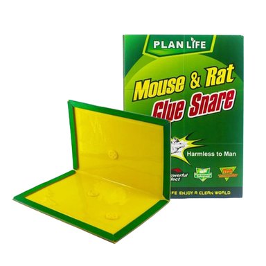 TRAMPA PARA RATAS Y RATONES ADHESIVA X 10 PIEZAS