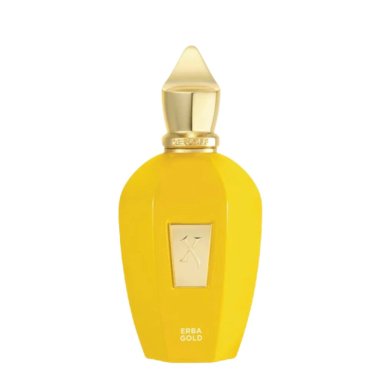 XERJOFF ERBA GOLD EAU DE PARFUM 100 ML - 2
