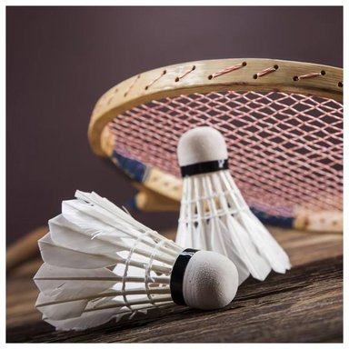 PLUMILLAS DE GANSO PARA BÁDMINTON TORNEO - TUBO (12 UNIDADES) - 5