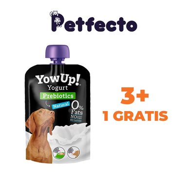PACK YOGURT PREBIOTICO PARA PERROS 115 GR.
