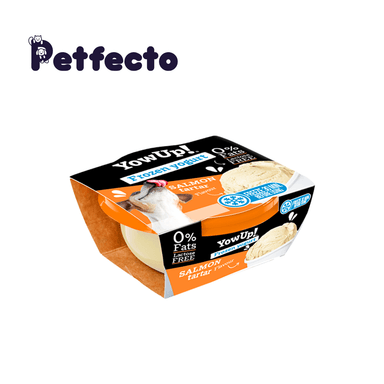 YOWUP HELADO SALMÓN TARTAR 110 G