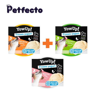 PACK X3 HELADOS YOWUP MIX SABORES