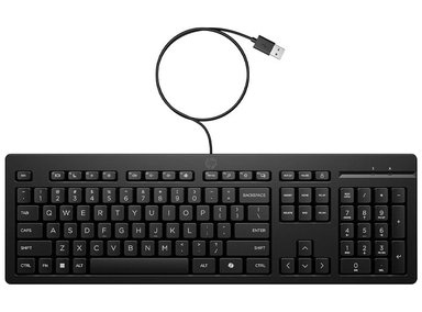 TECLADO HP 125 G2 USB WD AY2Y7AA#ABM - 1
