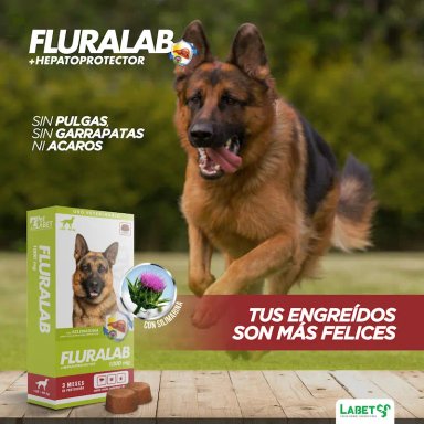 ANTIPULGAS PERRO FLURALAB TABLETA 20KG A 40KG CON HEPATOPROTECTOR